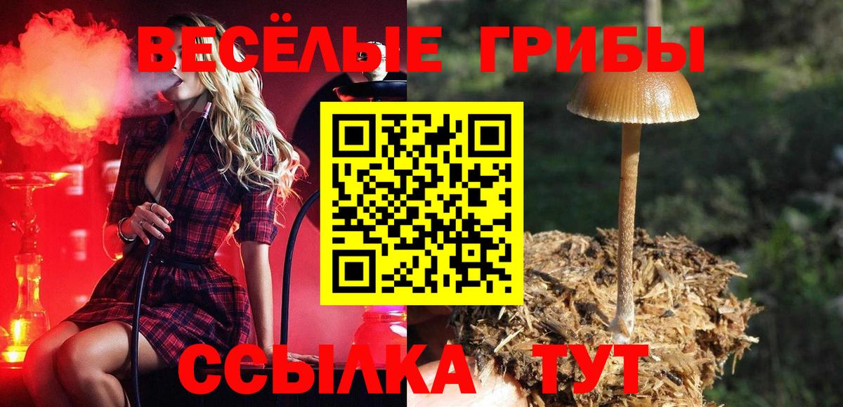 Галлюциногенные грибы ЛСД Хабаровск